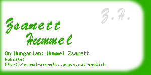 zsanett hummel business card